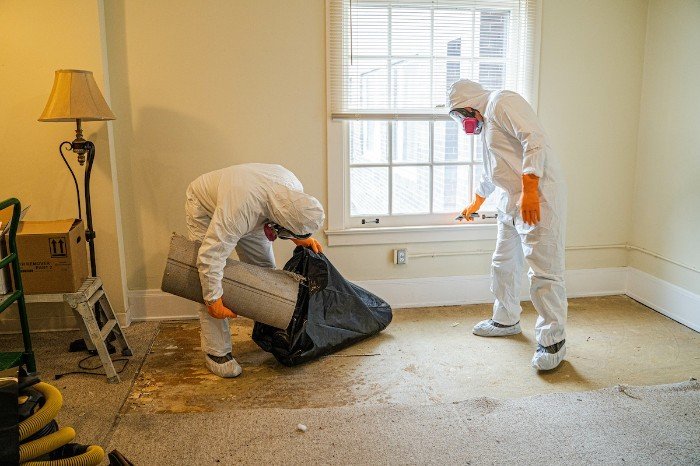 Key Steps to Clean Up a Crime Scene