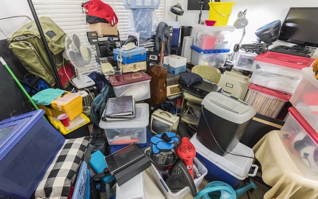 Hoarding: Environmental and public health consequences